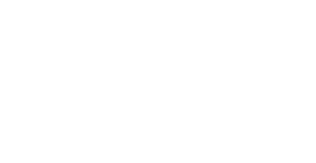 TCA Elite Fleet Award